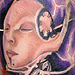 tattoo galleries/ - in progress - 13339